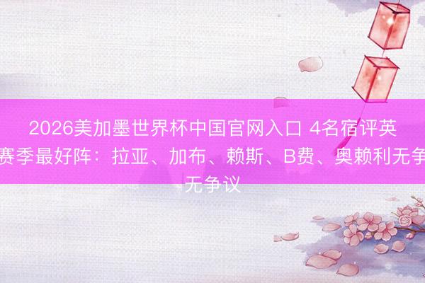 2026美加墨世界杯中国官网入口 4名宿评英超赛季最好阵：拉亚、加布、赖斯、B费、奥赖利无争议