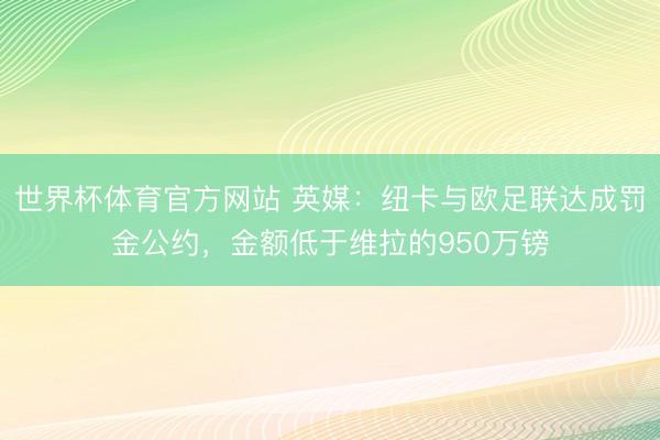 世界杯体育官方网站 英媒：纽卡与欧足联达成罚金公约，金额低于维拉的950万镑