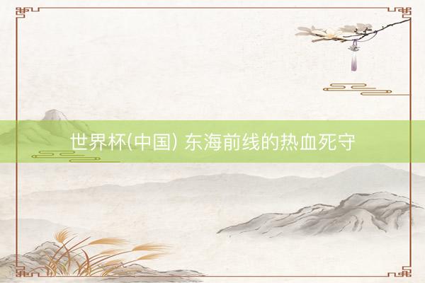 世界杯(中国) 东海前线的热血死守