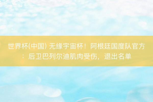 世界杯(中国) 无缘宇宙杯！阿根廷国度队官方：后卫巴列尔迪肌肉受伤，退出名单