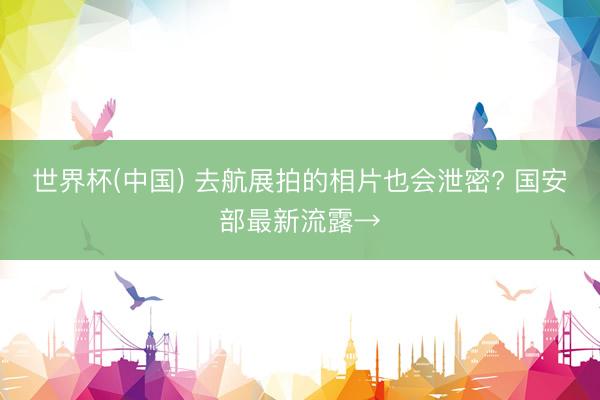 世界杯(中国) 去航展拍的相片也会泄密? 国安部最新流露→