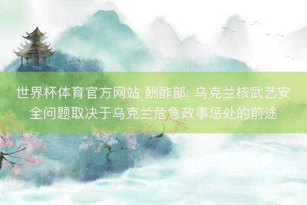 世界杯体育官方网站 酬酢部: 乌克兰核武艺安全问题取决于乌克兰危急政事惩处的前途