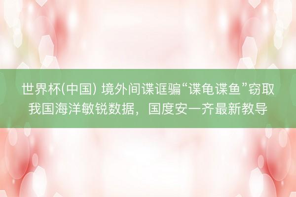 世界杯(中国) 境外间谍诓骗“谍龟谍鱼”窃取我国海洋敏锐数据，国度安一齐最新教导