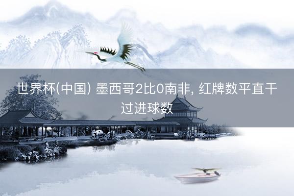 世界杯(中国) 墨西哥2比0南非, 红牌数平直干过进球数