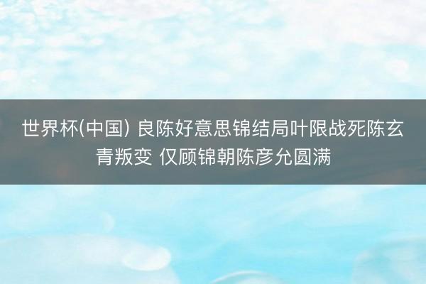 世界杯(中国) 良陈好意思锦结局叶限战死陈玄青叛变 仅顾锦朝陈彦允圆满
