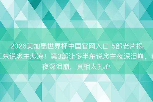 2026美加墨世界杯中国官网入口 5部老片揭开县城打工东说念主悲凉！第3部让多半东说念主夜深泪崩，真相太扎心