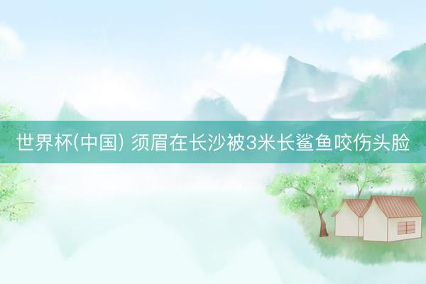 世界杯(中国) 须眉在长沙被3米长鲨鱼咬伤头脸