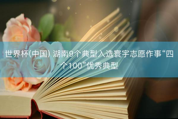 世界杯(中国) 湖南9个典型入选寰宇志愿作事“四个100”优秀典型
