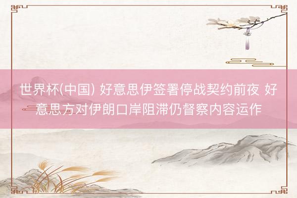 世界杯(中国) 好意思伊签署停战契约前夜 好意思方对伊朗口岸阻滞仍督察内容运作