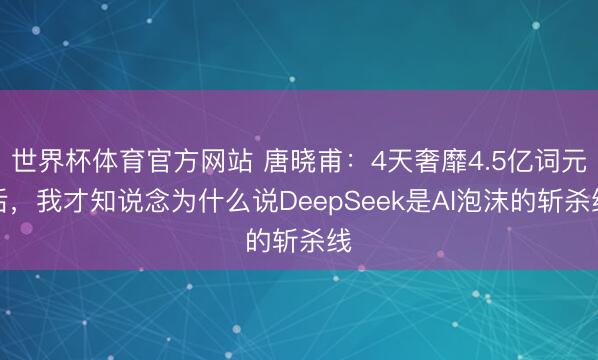 世界杯体育官方网站 唐晓甫：4天奢靡4.5亿词元后，我才知说念为什么说DeepSeek是AI泡沫的斩杀线